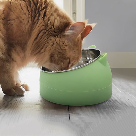 Gamelle chat vert