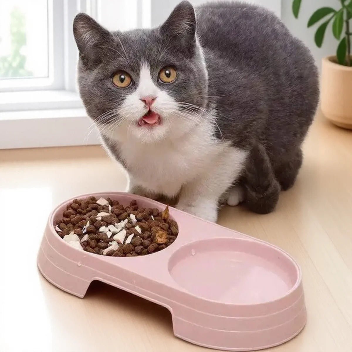 gamelle chat rose avec chat