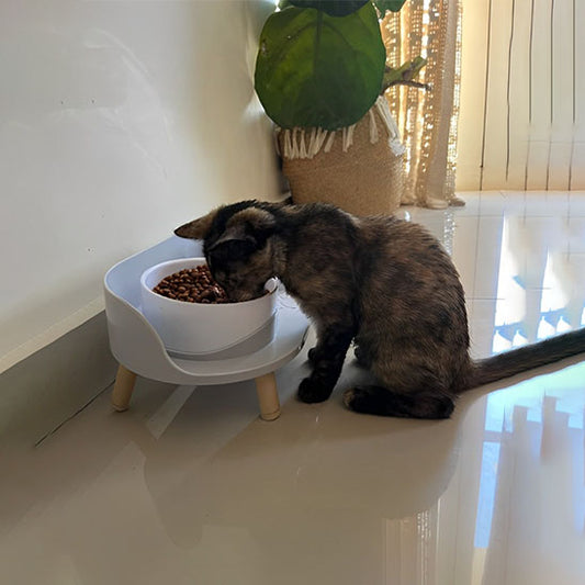 gamelle chat surélevée MonChatDoubleEat double gamelle gris clair