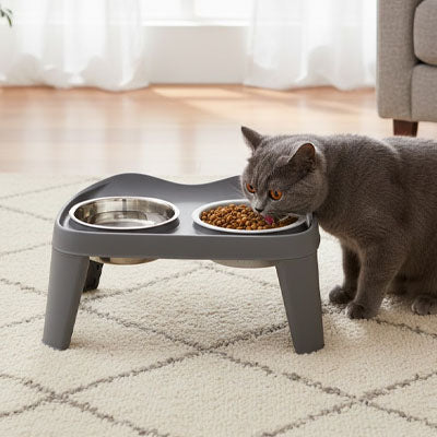 Gamelle chat surélevée MonDoublePlat mange