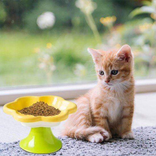 gamelle chat surélevée monchatcerama pour tout chat
