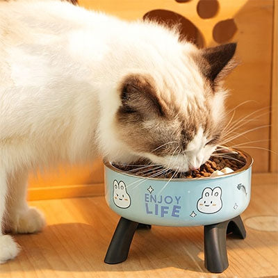 Gamelle chat surélevée monchatgafort finis les résidus alimentaires