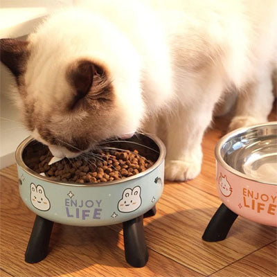 Gamelle chat surélevée monchatgafort 
posture plus naturelle