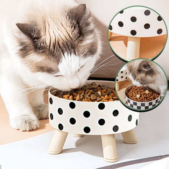 Gamelle chat surélevée | MonChatLeva™ - Mon chat mon tout