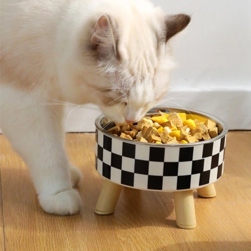 gamelle chat surélevée propre