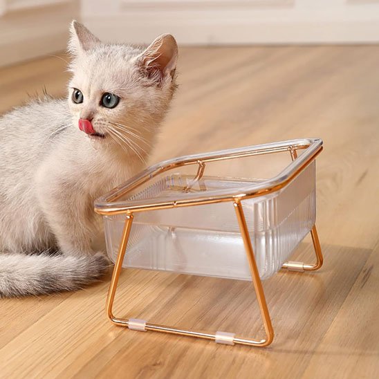 Gamelle chat surélevée | MonChatPremeleve™