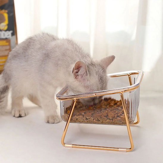 Gamelle chat surélevée | MonChatPremeleve™