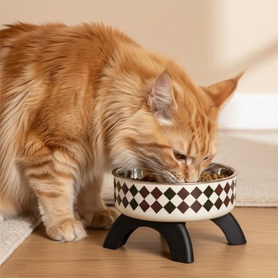 Gamelle chat surélevée MonRepasInox losanges