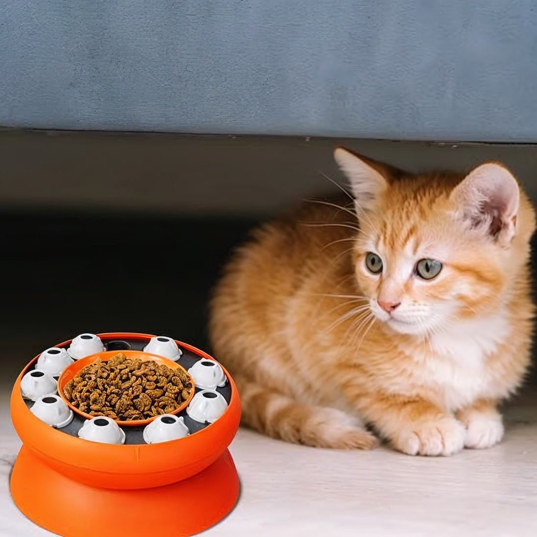 gamelle ludique chat monchatludo chaton