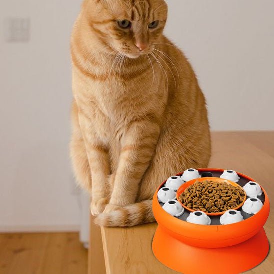 gamelle ludique chat monchatludo pose