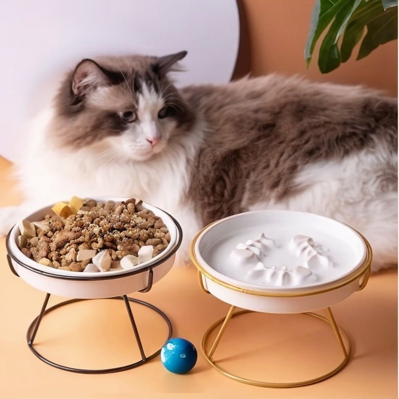 gamelle ludique chat pose chat allongé 2 gamelles