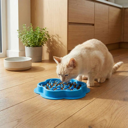 gamelle ludique monludochat chat crème mange 