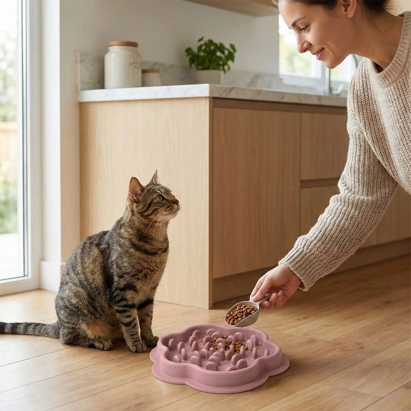 gamelle ludique monludochat chat plus patient