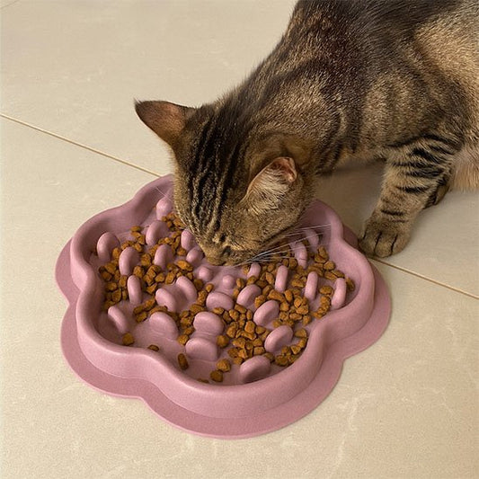 gamelle ludique monludochat mauve