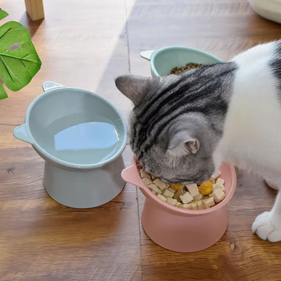 gamelle-chat-surelevee-ensemble