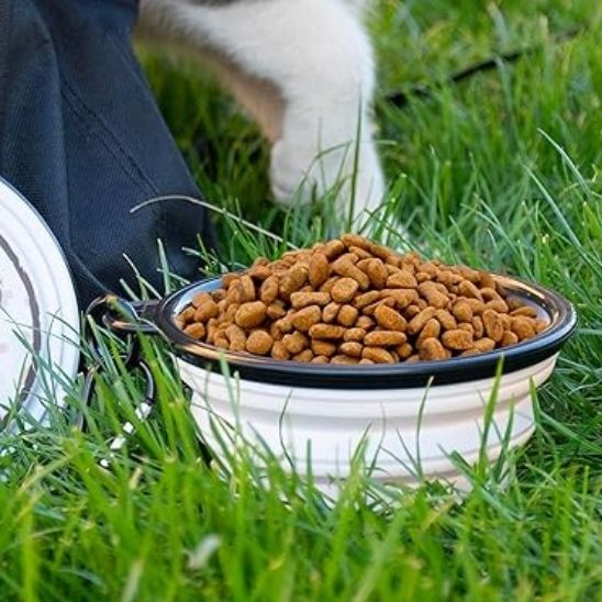gamelle-pour-chat-exterieur