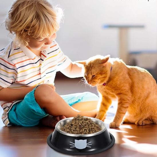 gamelle pour chat noir