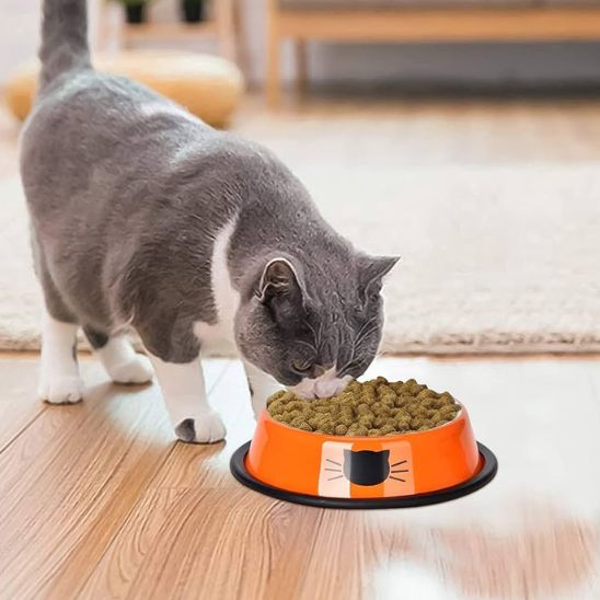 gamelle pour chat orange