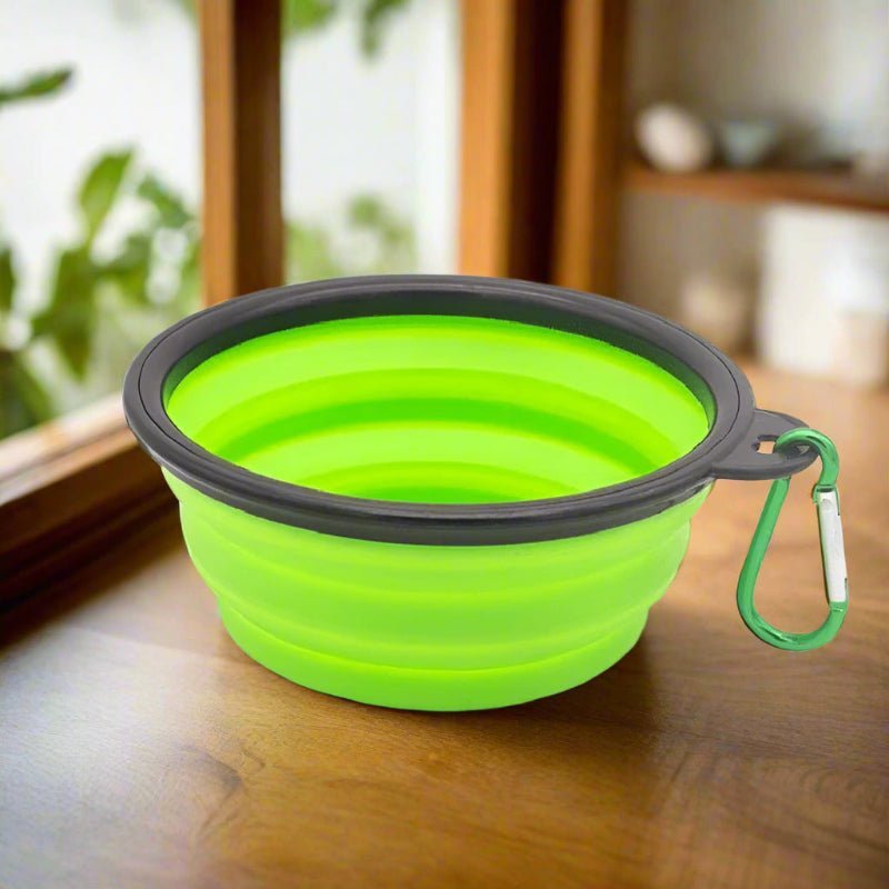 gamelle pour chat vert