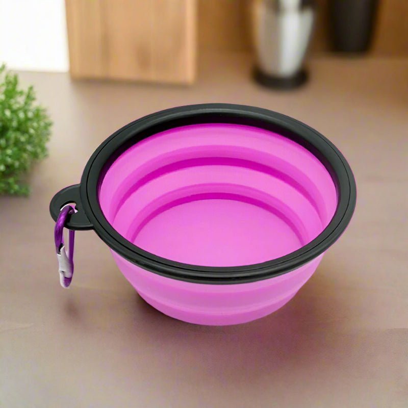 gamelle pour chat violet