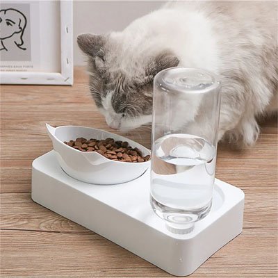 gamelle pour chat surélevée MonChatCroqTout chat mange