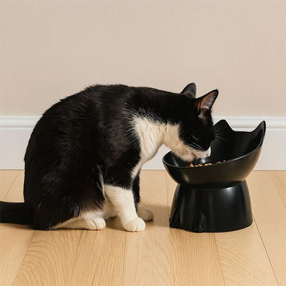 Gamelle pour chat surélevée MonChatSurPattes mange