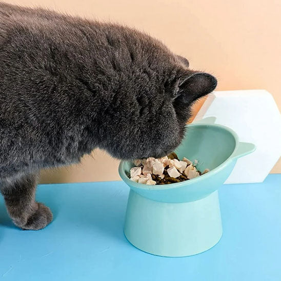 gamelle-chat-surelevee-verte