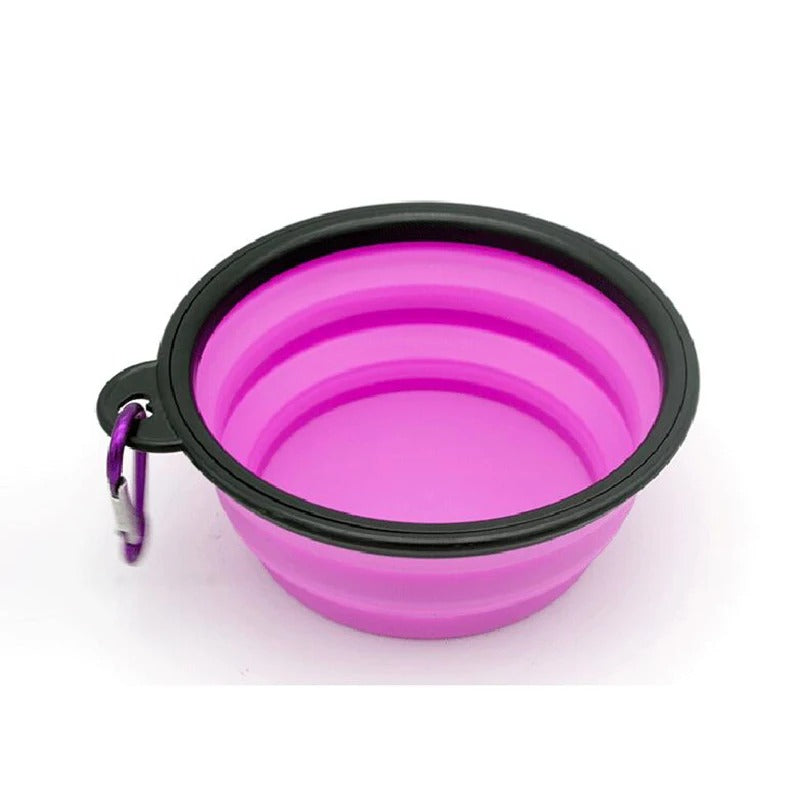 gamelle-pour-chat-violet
