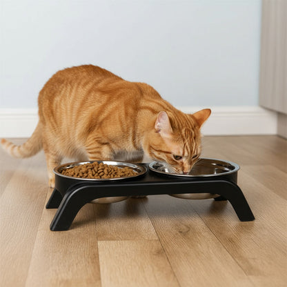 gamelle surélevée chat boit eau monchatgaleve