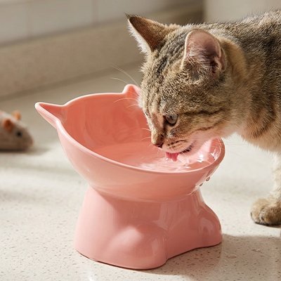 Gamelle surélevée chat MonChatDouxRepas rose