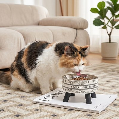 Gamelle surélevée chat MonRepasLax mange