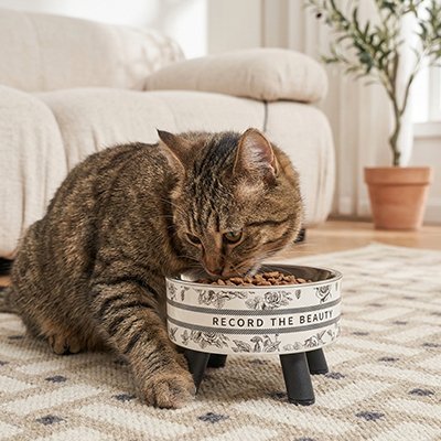 Gamelle surélevée chat MonRepasLax stable