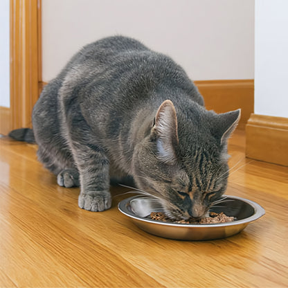 Gamelles chaton MonChatGaTon nourriture humide