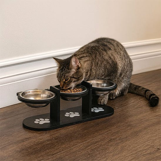 Gamelles surélevées chat MonChatTriplet mange