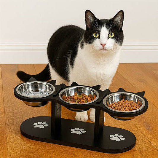 Gamelles surélevées chat MonChatTriplet présentation