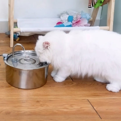 gros chat blanc boit dans fontaine à eau chat
