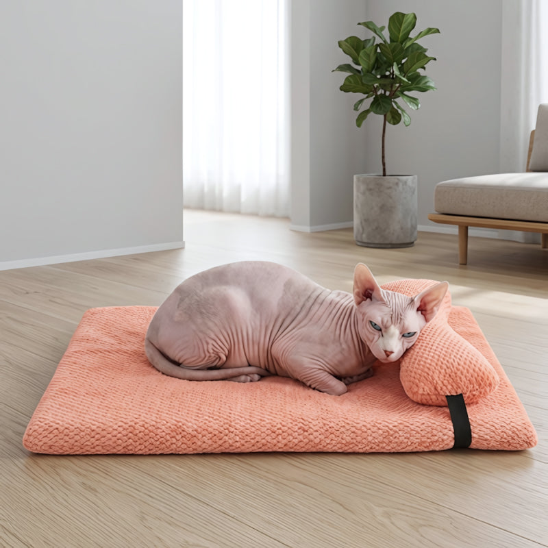 lit chat MonChatDortmieuxLuxe-support du cou rose S