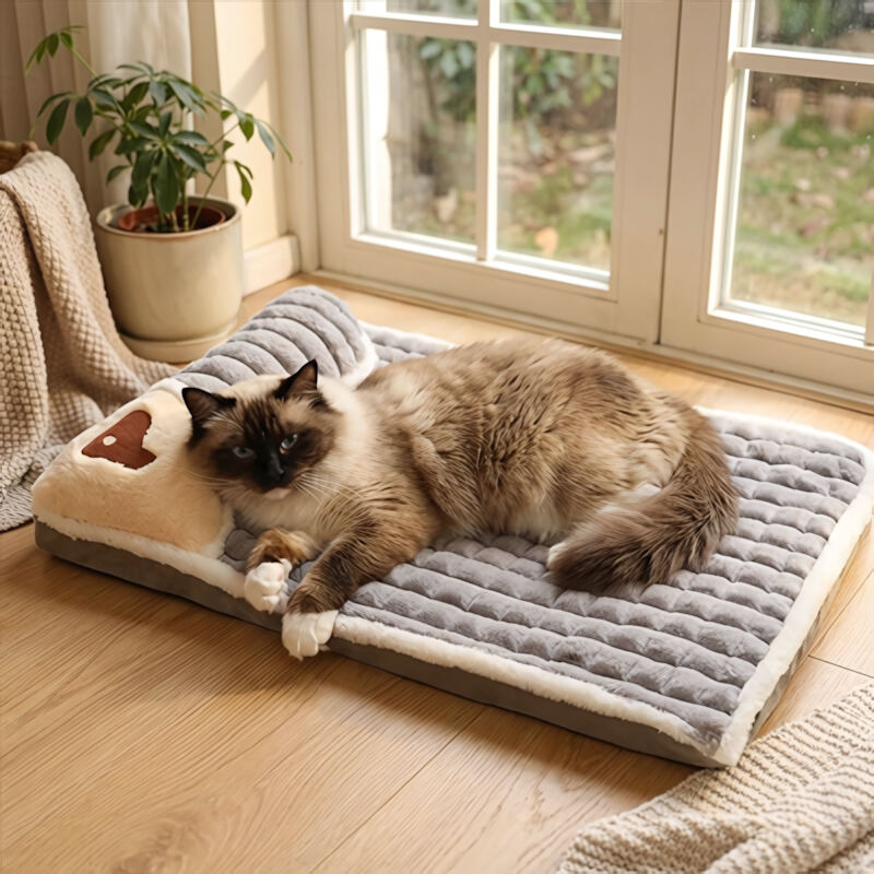 lit douillet pour chat-pour très grand chat gris