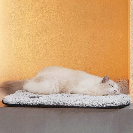 lit pour chat allongé dodo