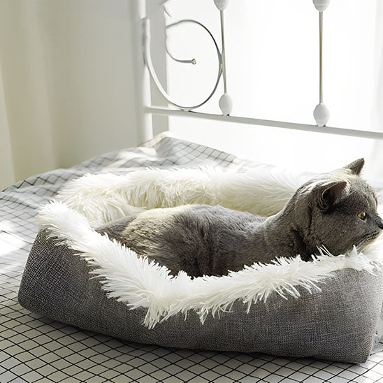 lit pour chat gris blanc