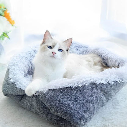 lit pour chat gris chat fixe objectif