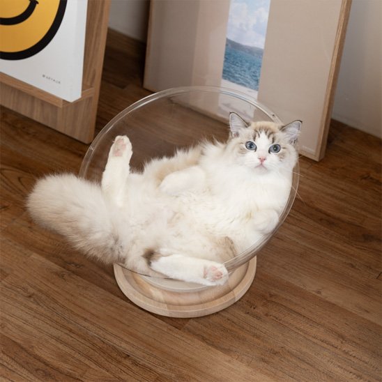 Lit pour chat MonChatSpatial avec balles chat relax sur dos