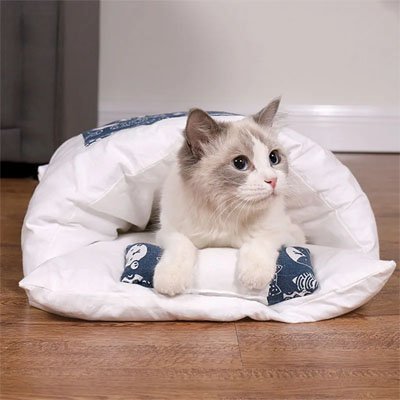 Lit pour chat Monlitchat avec coussin chat éveillé