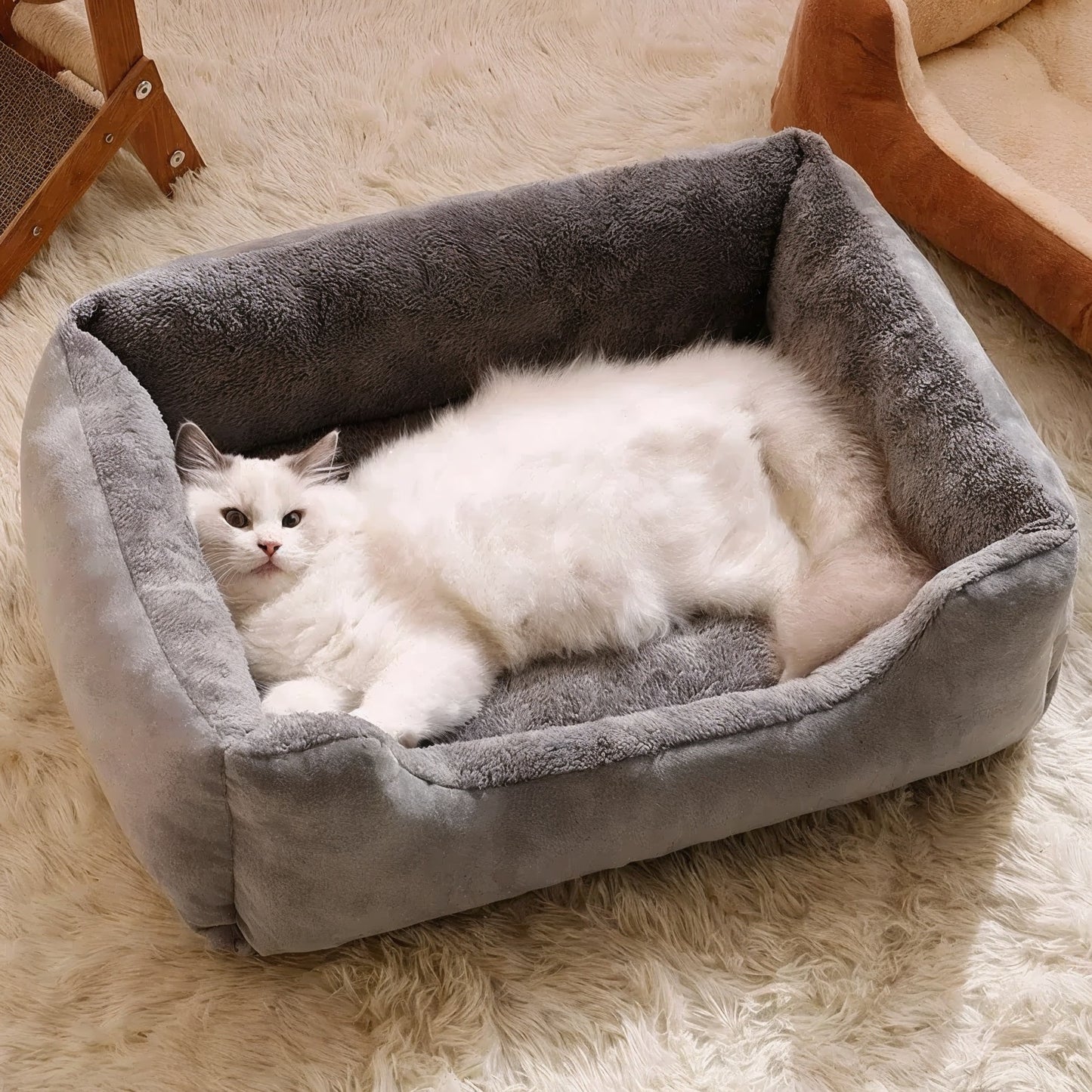 lit pour chat rectangulaire gris