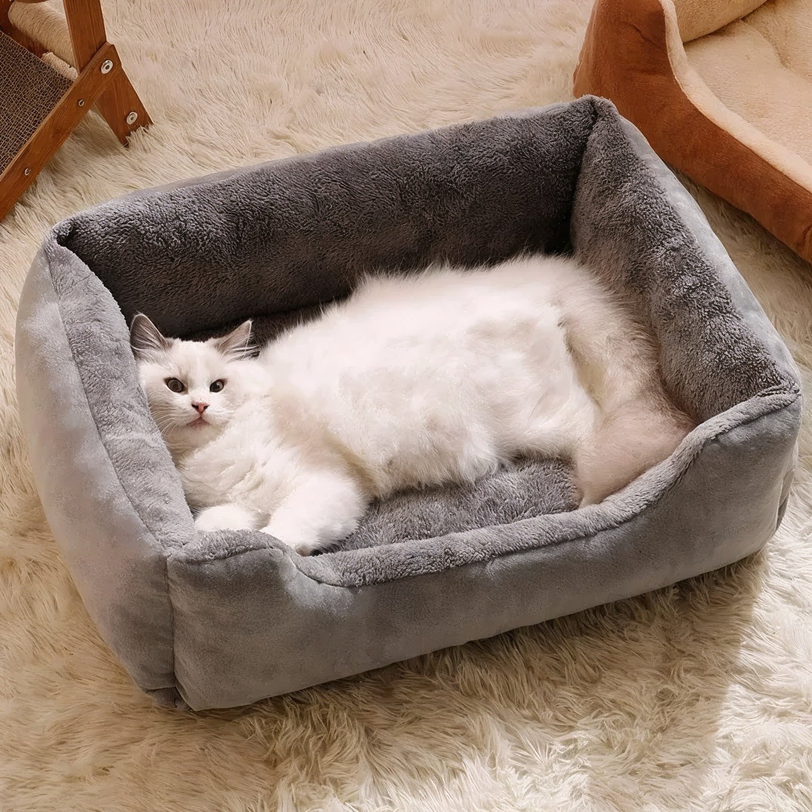 lit pour chat rectangulaire gris