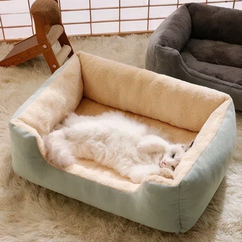 lit pour chat rectangulaire vert