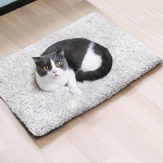 lit pour chat taille M vue au dessus