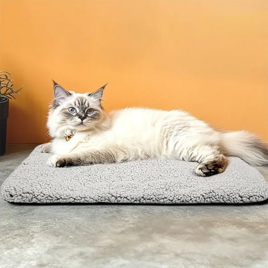 lit pour chat taille S allongé coté