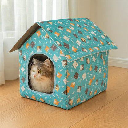 maison chat confort malin observe environnement