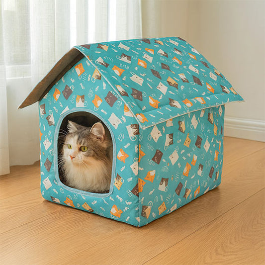 maison chat confort malin observe environnement